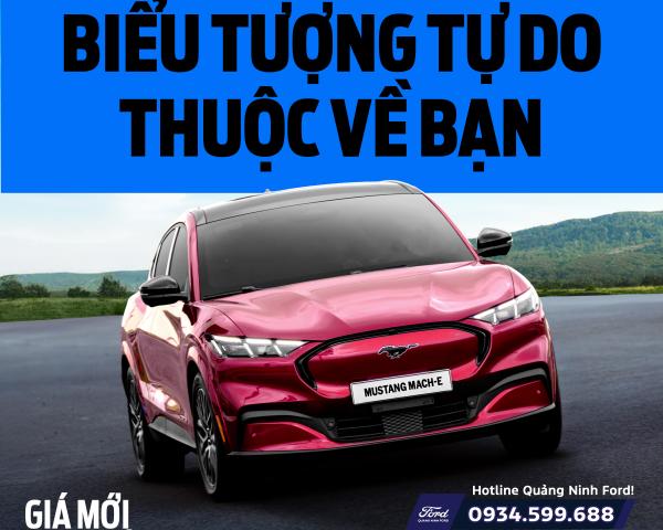 Trải Nghiệm Ford Mustang Mach-E Đẳng Cấp Tại Quảng Ninh Ford – Mức Giá Mới Kèm Đặc Quyền 5 Năm Sạc Miễn Phí